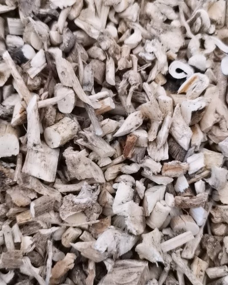 中药材白鲜皮康辰药业批发各种中药材