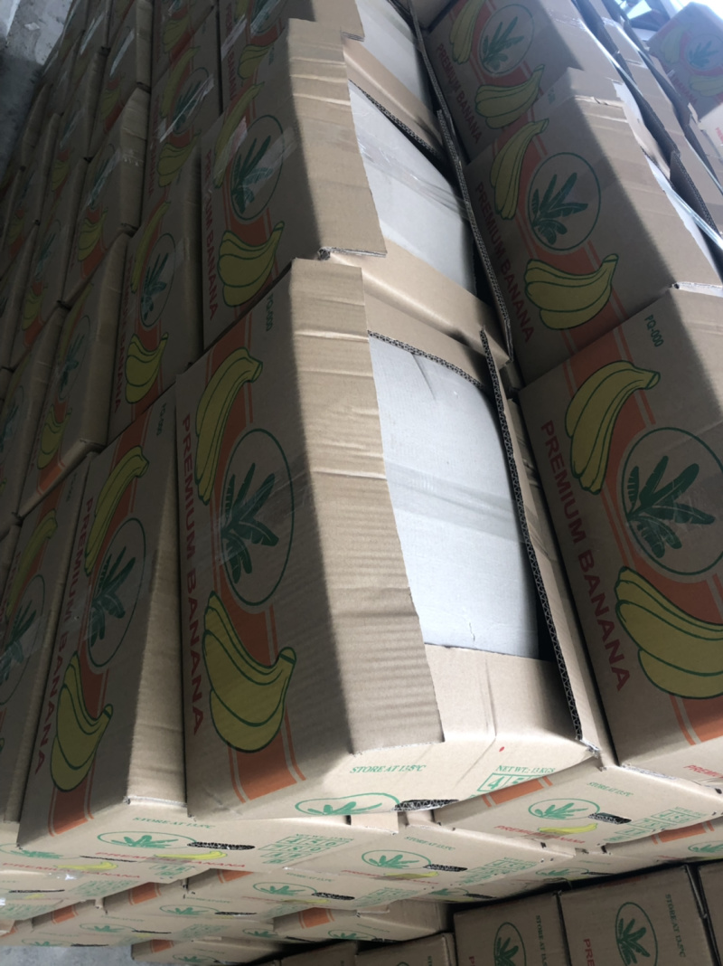 精品巴西蕉产地大量上市专业代办，没有中间商，