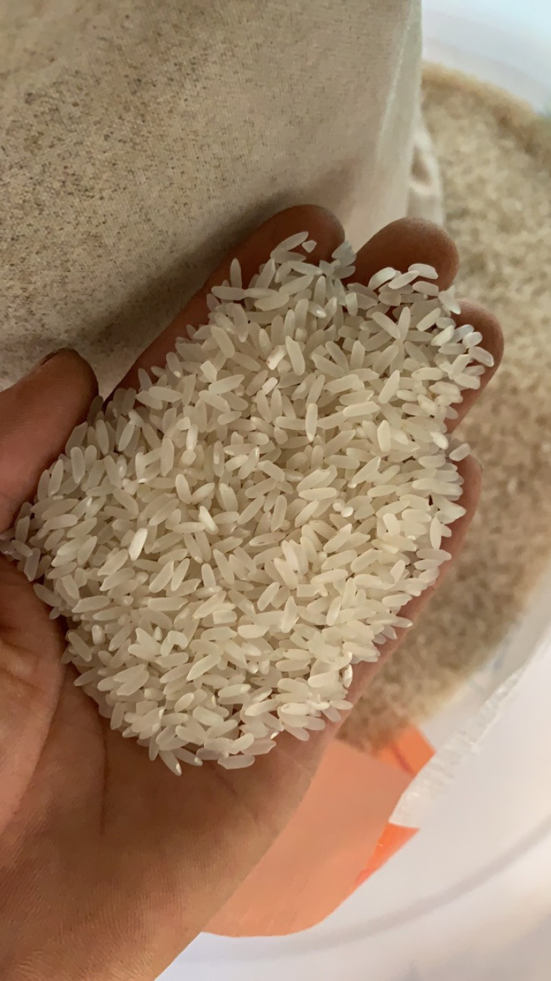 大米