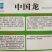 高山顺直薄皮微皱二薄皮牛角椒大薄皮辣椒种子