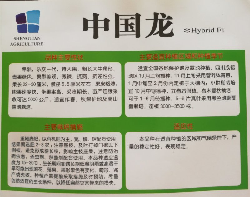 高山顺直薄皮微皱二薄皮牛角椒大薄皮辣椒种子