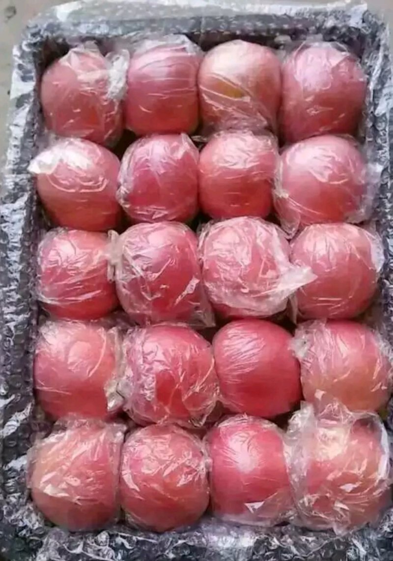 大量供应红富士苹果80起步，纸加膜
