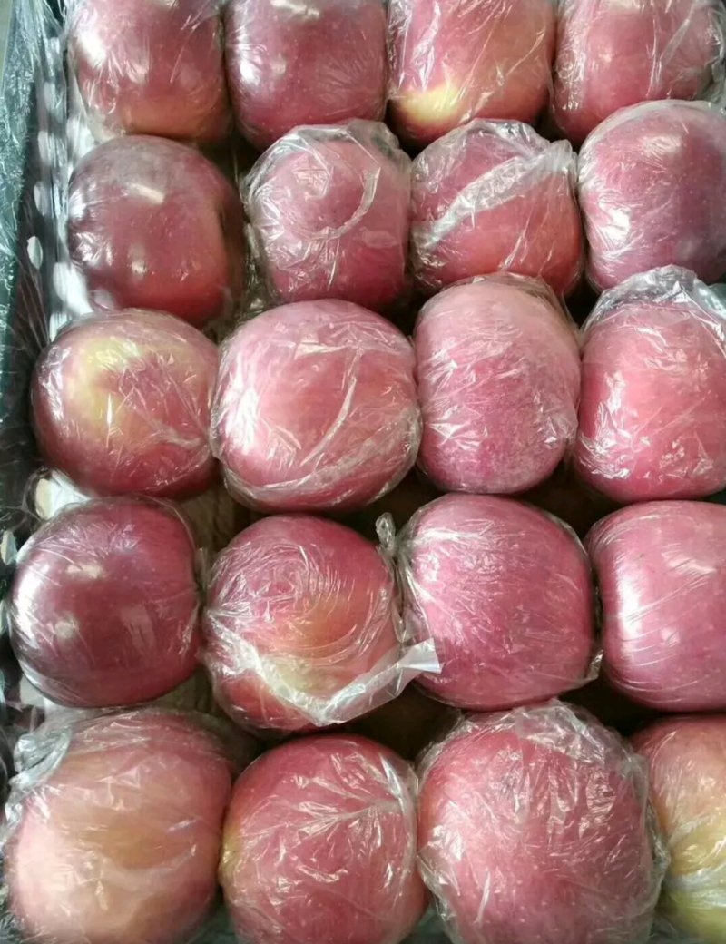 大量供应红富士苹果80起步，纸加膜