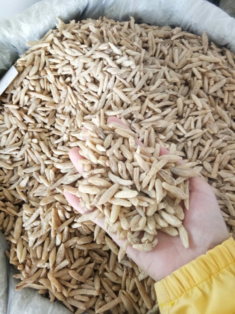 麦冬