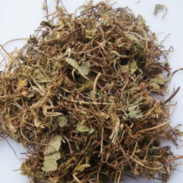 落得打积雪草崩大碗千余品种供应承接订单