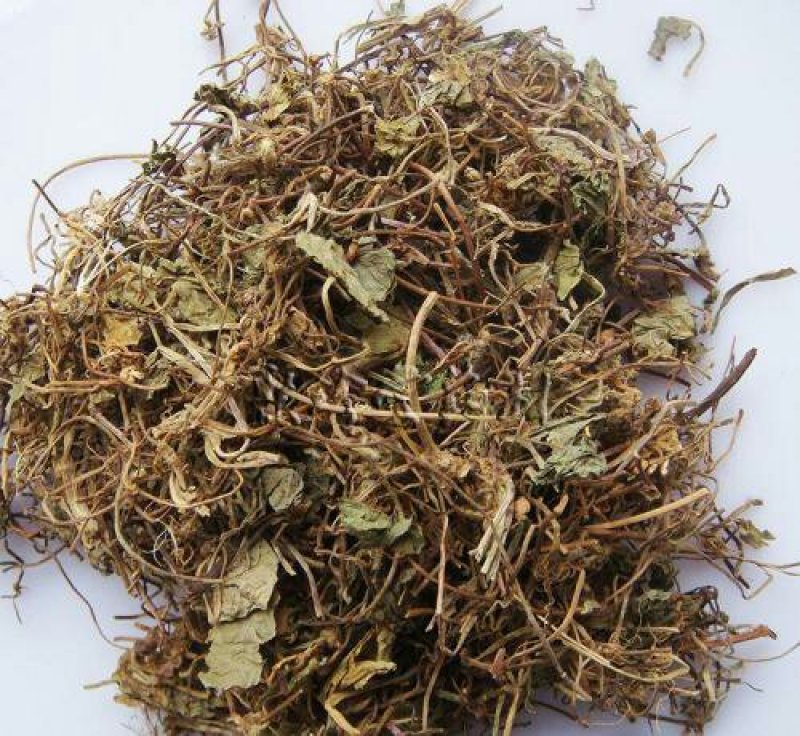 落得打积雪草崩大碗千余品种供应承接订单