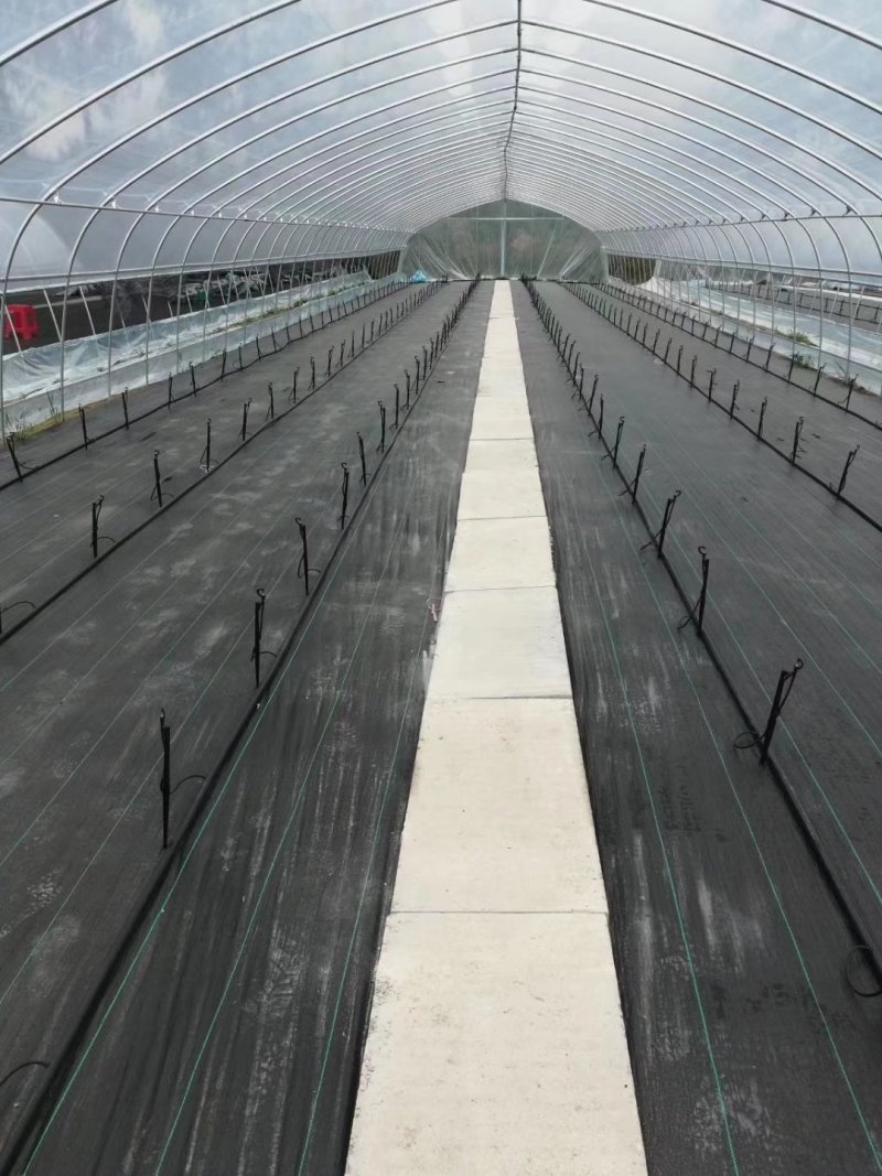 专业生产蔬菜基地专用各种规格种植大棚含膜全国发货包建