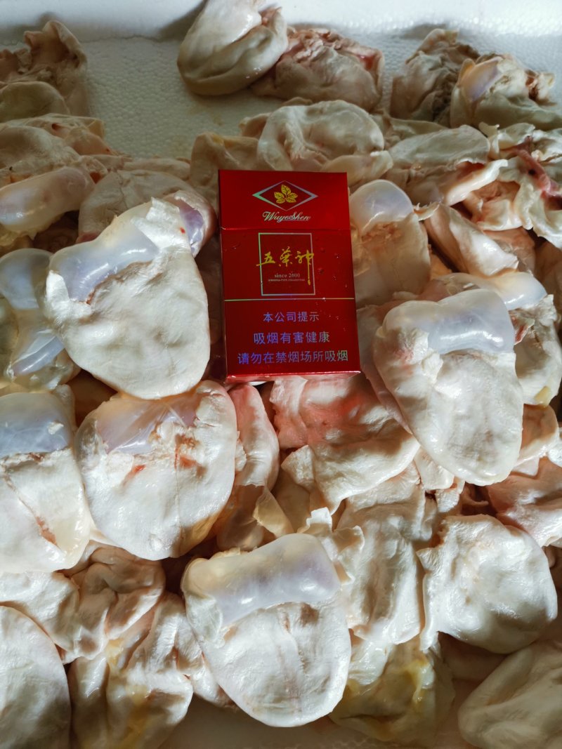 鮰鱼，江团泡