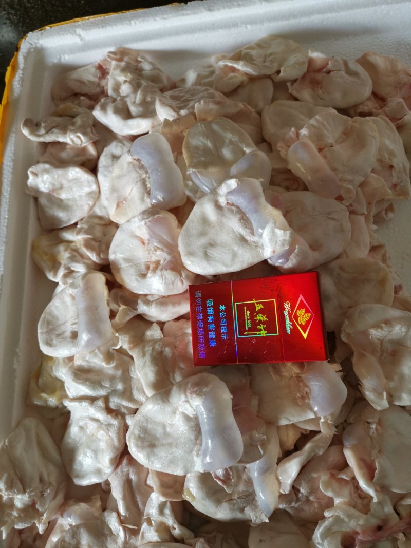 鮰鱼，江团泡