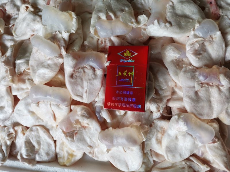 鮰鱼，江团泡