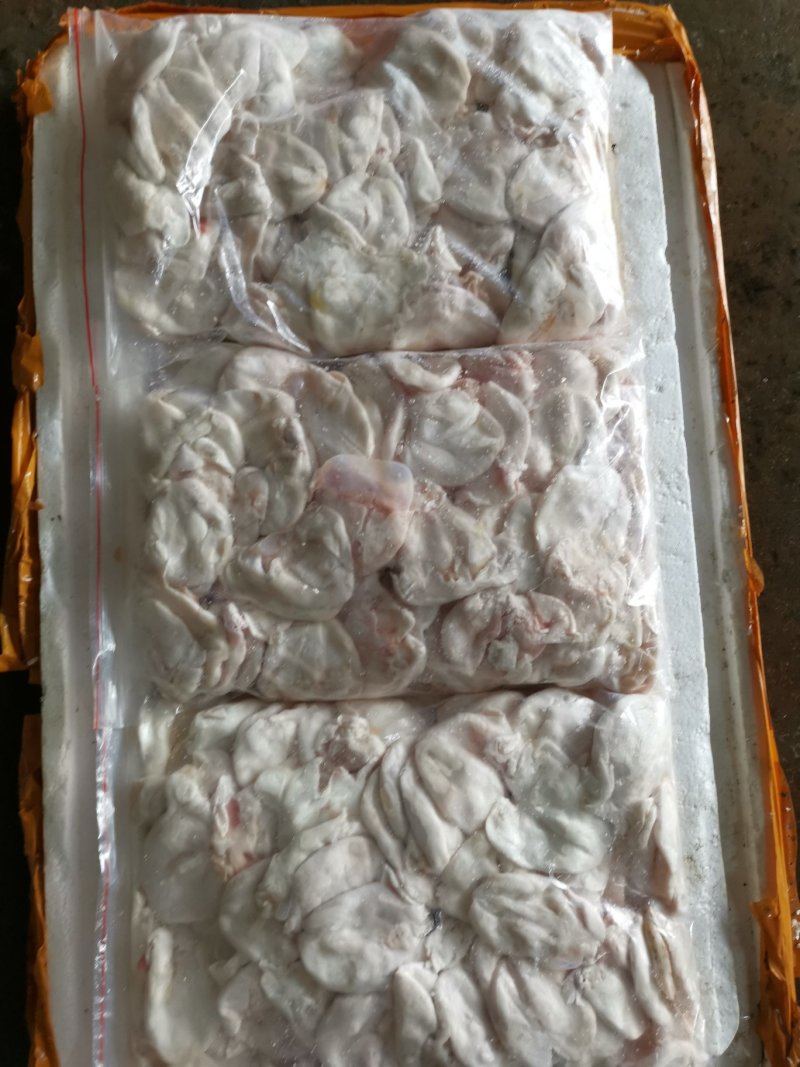 鮰鱼，江团泡