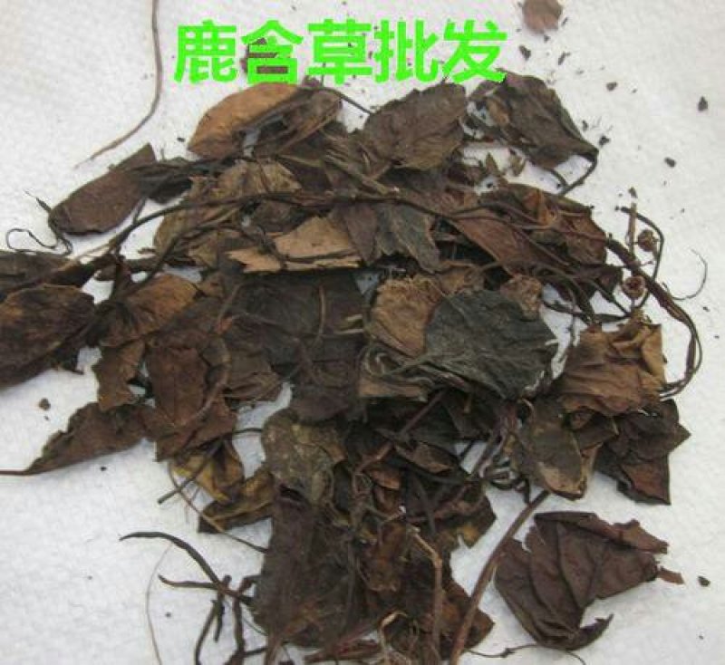 鹿含草千余品种供应承接订单