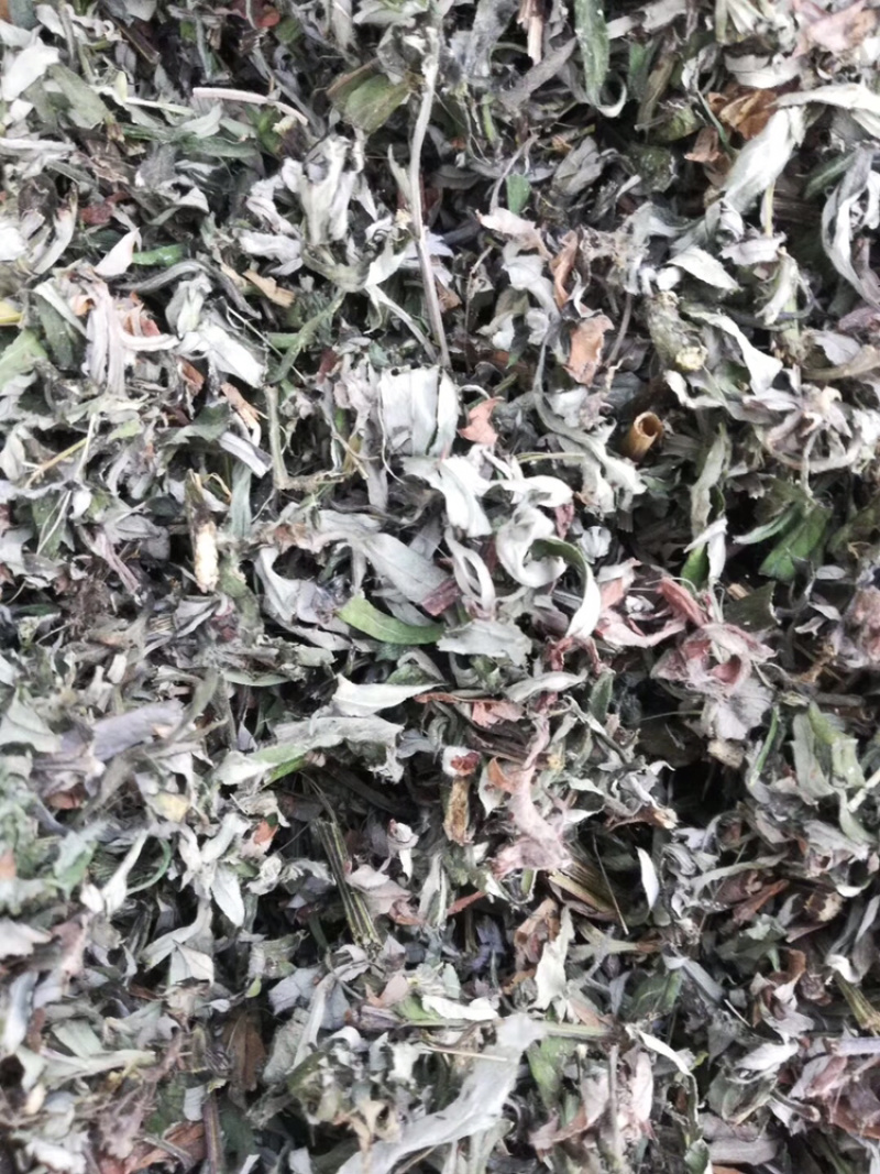 全颗艾产地直供