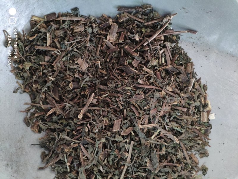 旱莲草过筛净货量大优惠代抓各种药方
