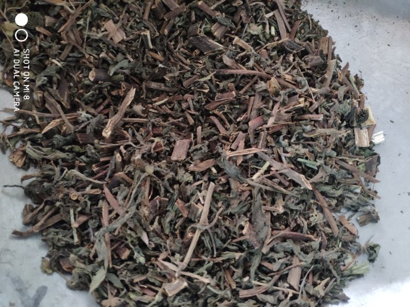 旱莲草过筛净货量大优惠代抓各种药方