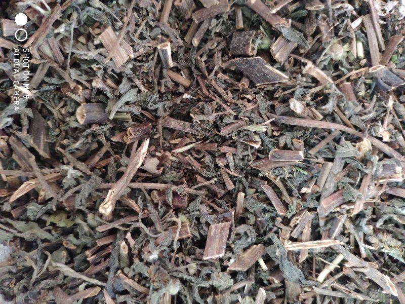 旱莲草过筛净货量大优惠代抓各种药方
