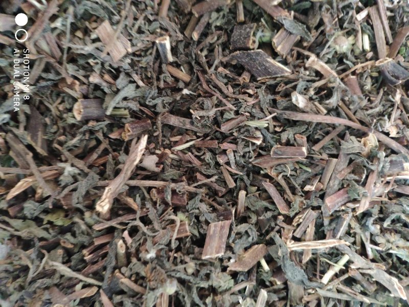 旱莲草过筛净货量大优惠代抓各种药方