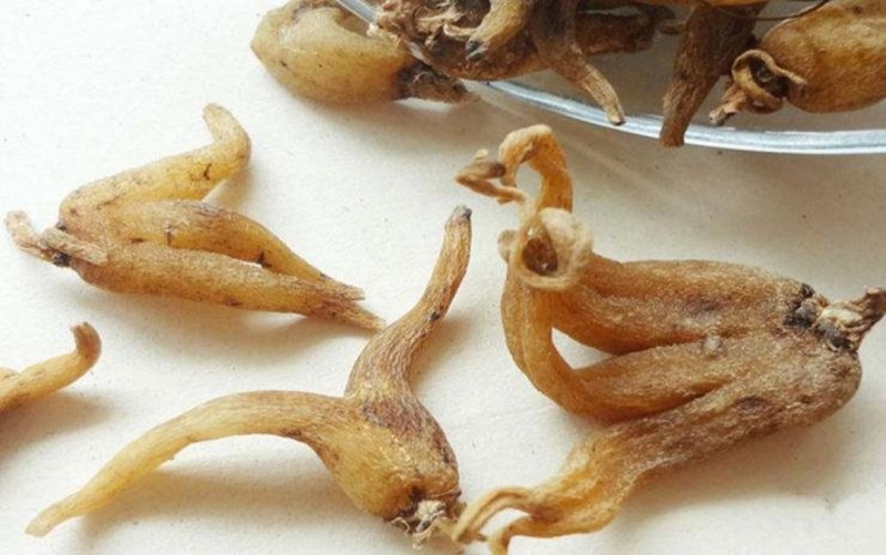 手掌参，道地药材，质优价实，品质保证，药典标准一公斤起批