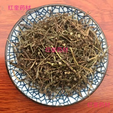 白花蛇草蛇草白花蛇舌草代抓各种药方