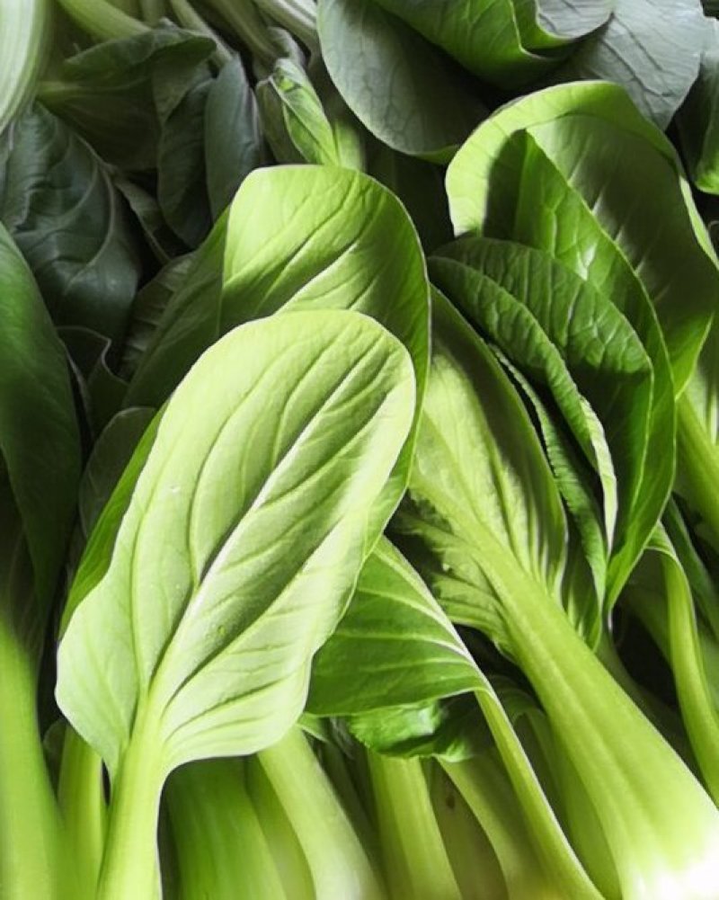 油菜