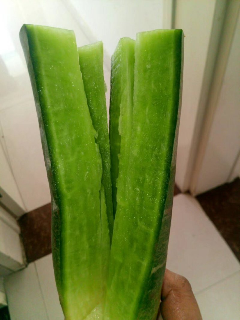 潍县萝卜，大量供应，青茬口感脆甜，产地批发，无代办费