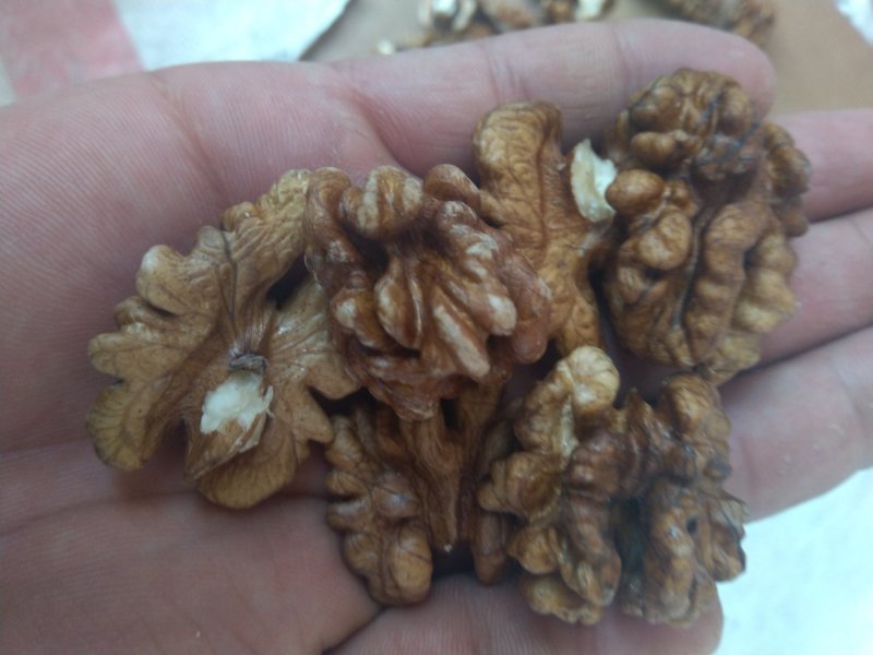 今年新货，核桃仁出油率高，现在的，红色，口感好，新货