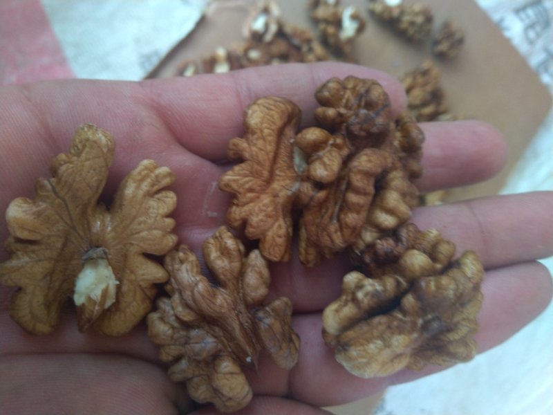 今年新货，核桃仁出油率高，现在的，红色，口感好，新货