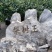 【砀山酥梨】酥梨砀山酥梨现摘现发量大质优全国发货