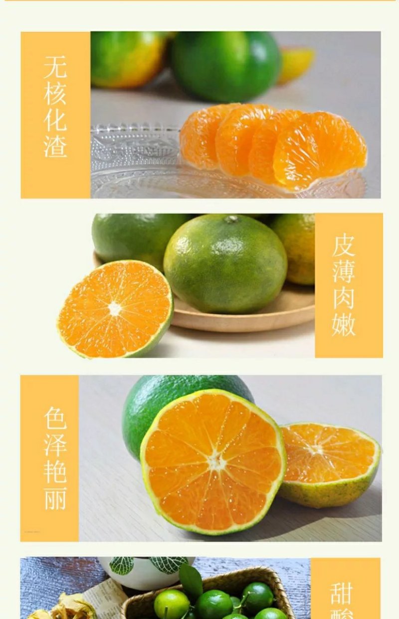 蜜桔电商一件代发(东江湖清江蜜桔)28元10斤包邮