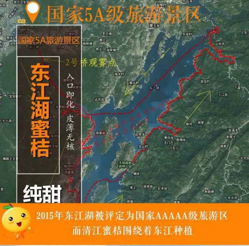 蜜桔电商一件代发(东江湖清江蜜桔)28元10斤包邮