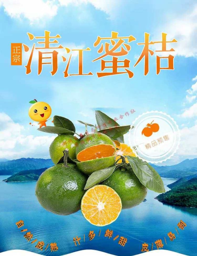 蜜桔电商一件代发(东江湖清江蜜桔)28元10斤包邮