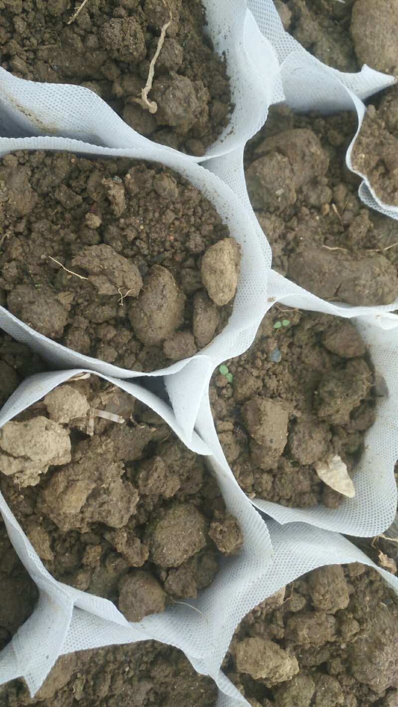 抗老化无纺布杯育苗袋营养袋种植袋源头工厂一件也是批发价
