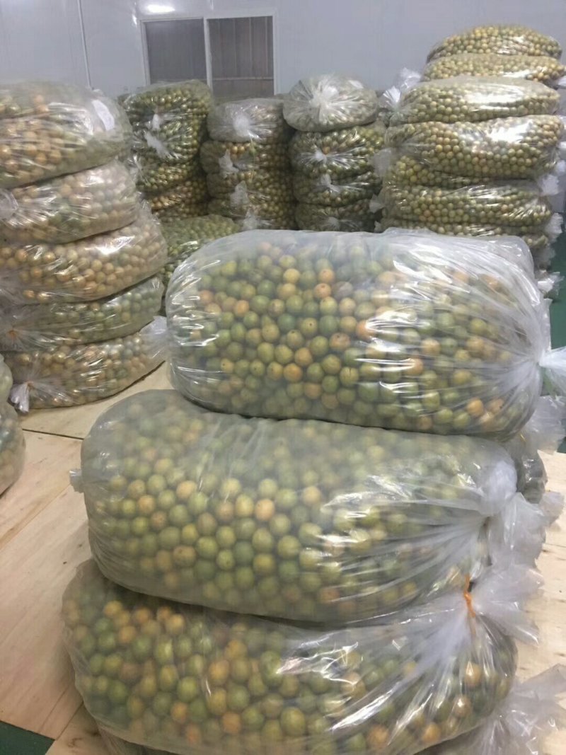 龙胜产地直销罗汉果龙胜特产(脱水果)
