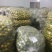 龙胜产地直销罗汉果龙胜特产(脱水果)