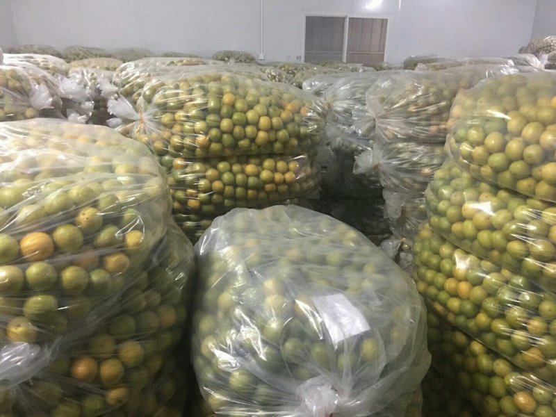 龙胜产地直销罗汉果龙胜特产(脱水果)