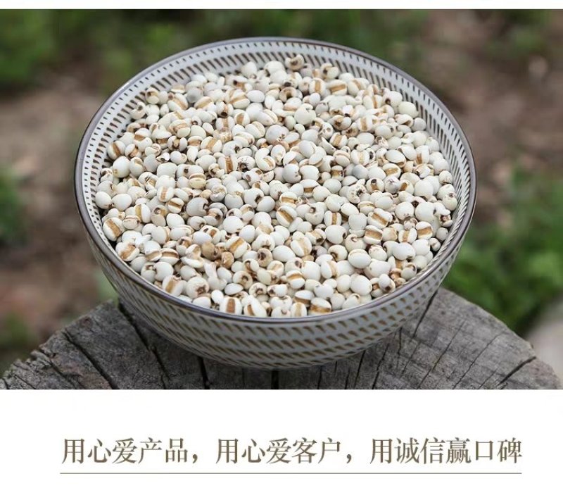 薏苡仁米仁正品小米仁无硫无添加本店经营各种中药材