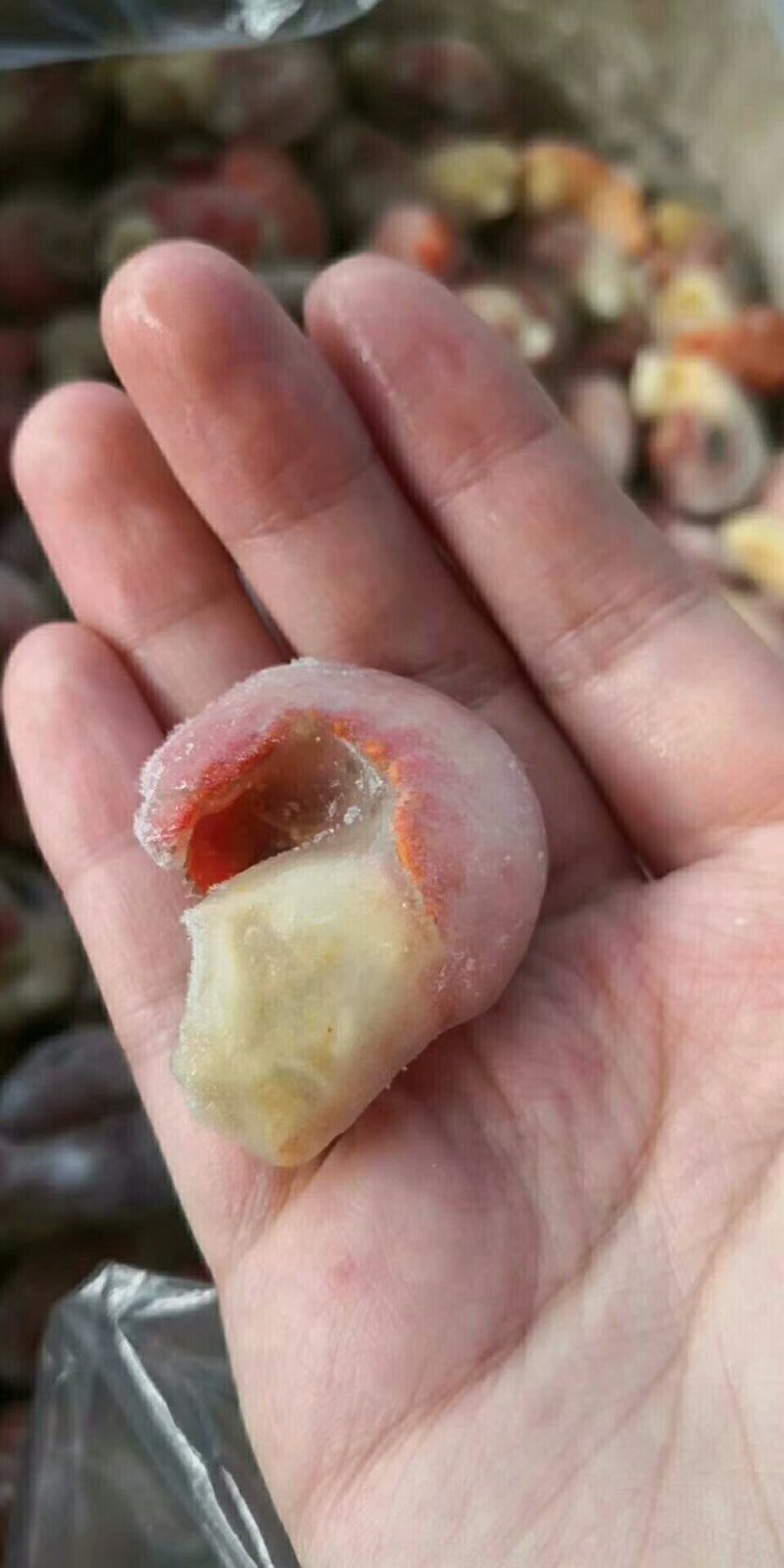 海霸王虾尾