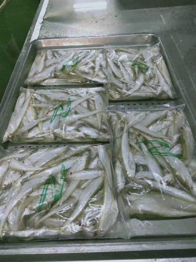 黄河刀鱼