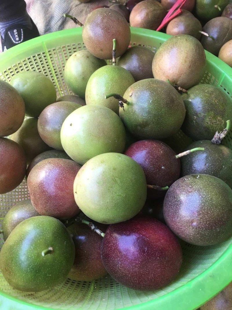 百香果