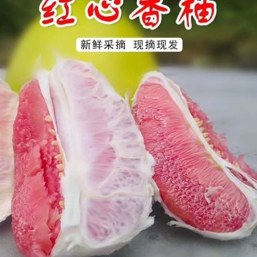 广西红心柚，环江柚子小果，中果大果花皮果