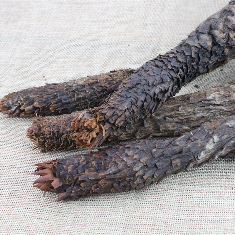 肉苁蓉正品大芸正品肉苁蓉专业批发中药
