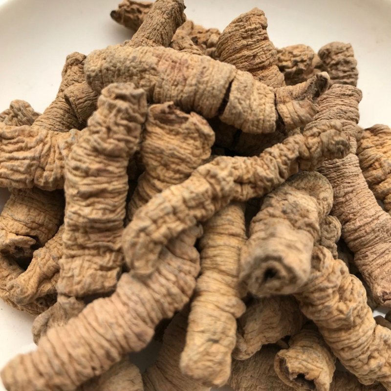 巴戟天抽芯各种规格货批发中药品质保证