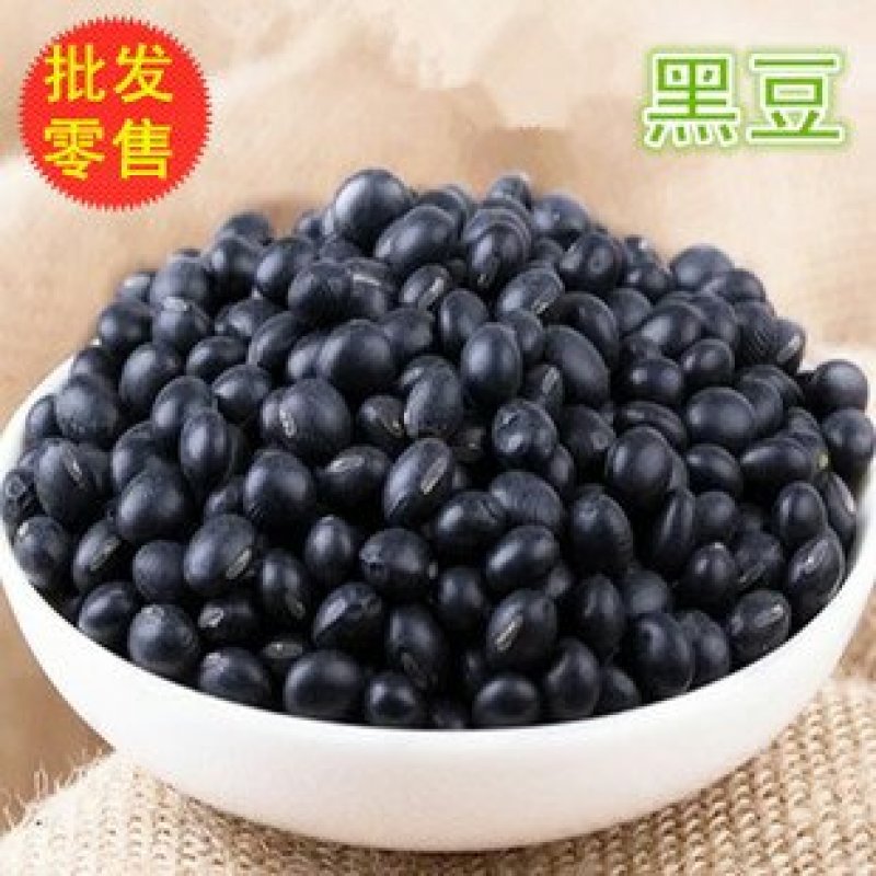 黑豆千余品种供应承接订单