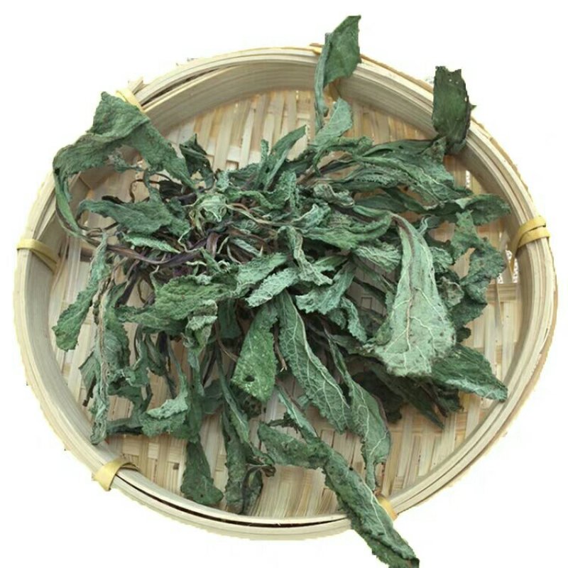 蛤蟆草荔枝草千余品种供应承接订单