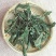 蛤蟆草荔枝草千余品种供应承接订单