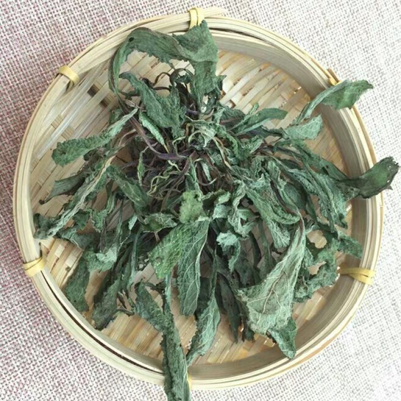 蛤蟆草荔枝草千余品种供应承接订单