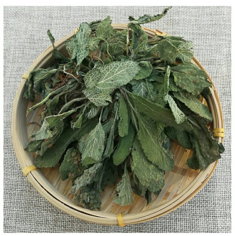 蛤蟆草荔枝草千余品种供应承接订单