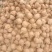 新高等