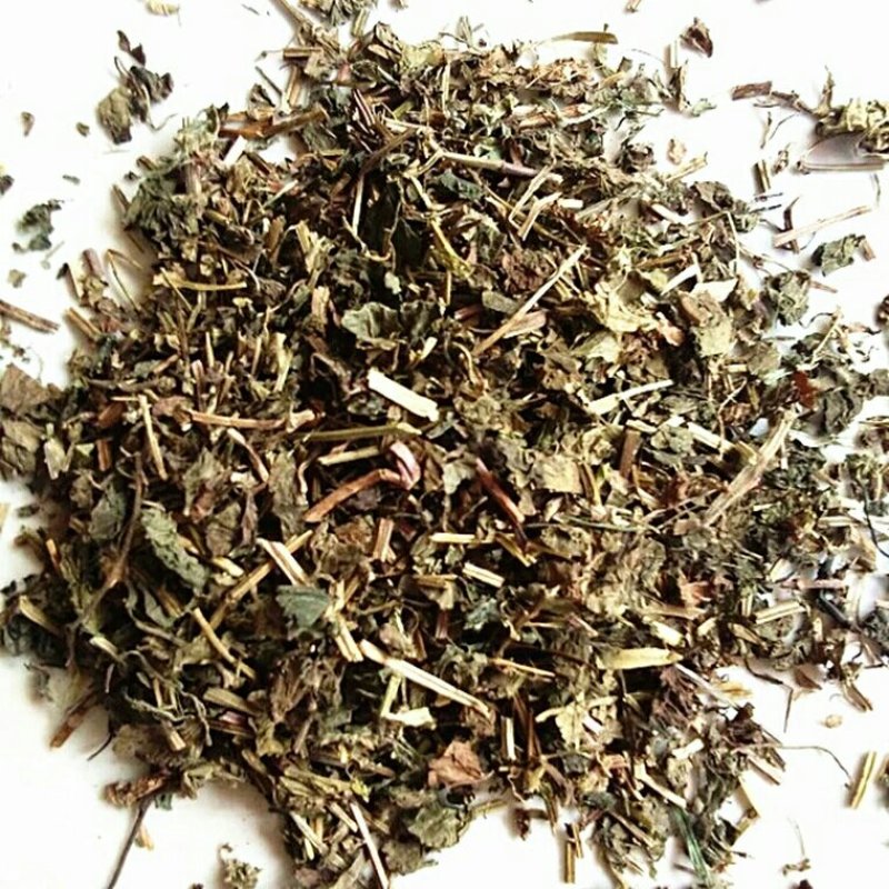 筋骨草千余品种供应承接订单