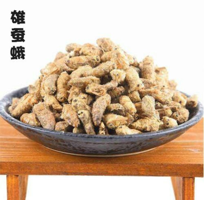 雄蚕娥千余品种供应承接订单